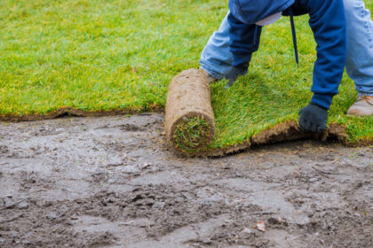 sod installation near me