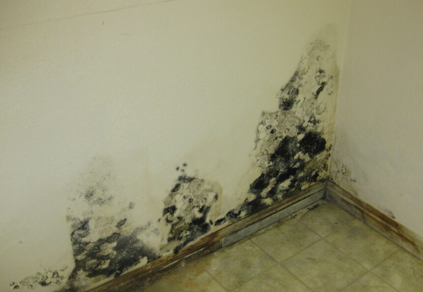 Fire Damage Cleaning