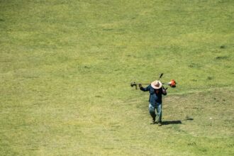 Lawn mowing Lakewood ranch